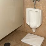 トイレ文化と生活の質向上